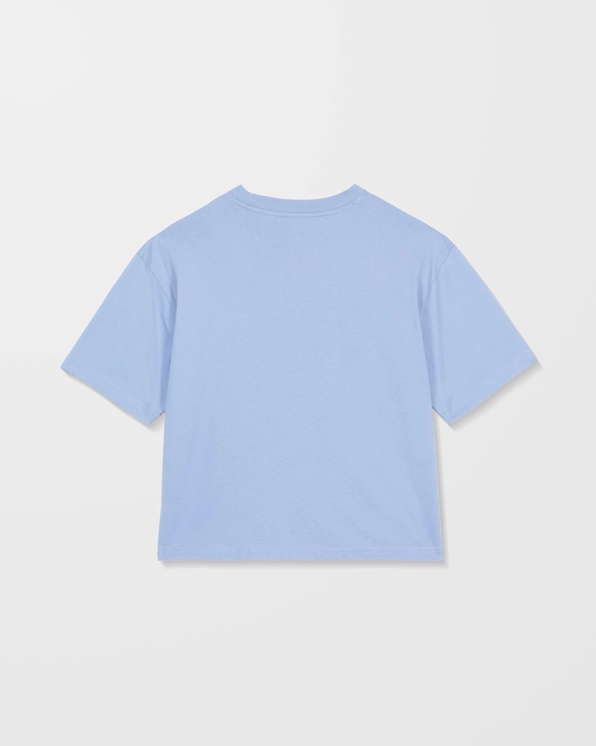 T-Shirt Stone Blanks Up - Carolina Blue - Image 9